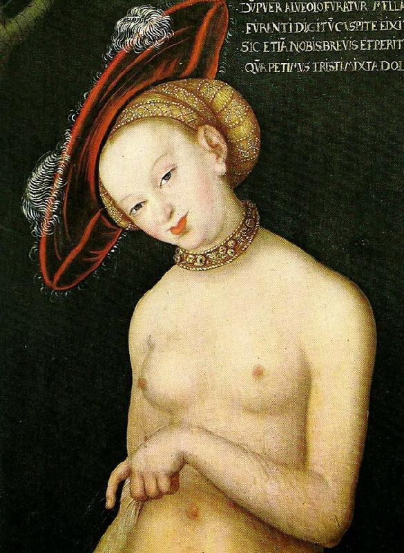 CRANACH, Lucas the Younger woman with a hat